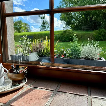 La Remise - Les Bed and breakfast Neufchâteau